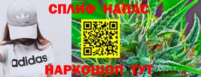 молекула духа Заводоуковск