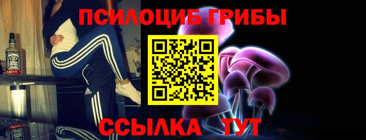 Псилоцибиновые грибы MAGIC MUSHROOMS  Псилоцибиновые грибы Cubensis  Кумертау  Вход с VPN 